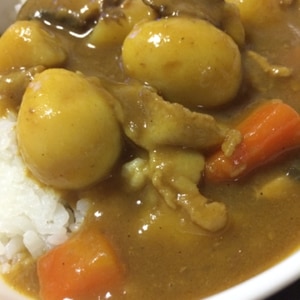 カレーライス　にんにくきかせて☆